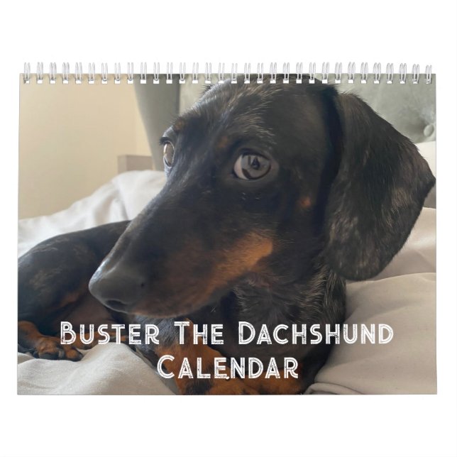 Buster the Dachshund Kalender (Omslag)