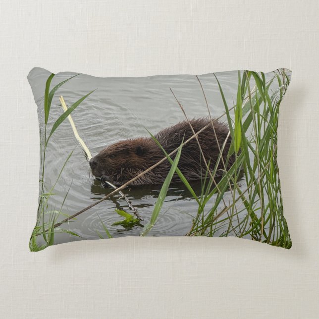 Busy Beaver accent Pillow Prydnadskudde (Framsidan)