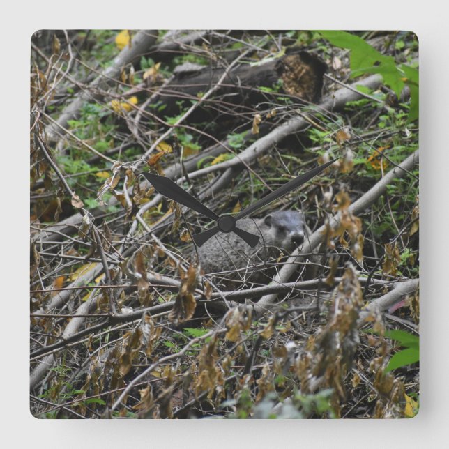 Busy Beaver Fyrkantig Klocka (Framsida)