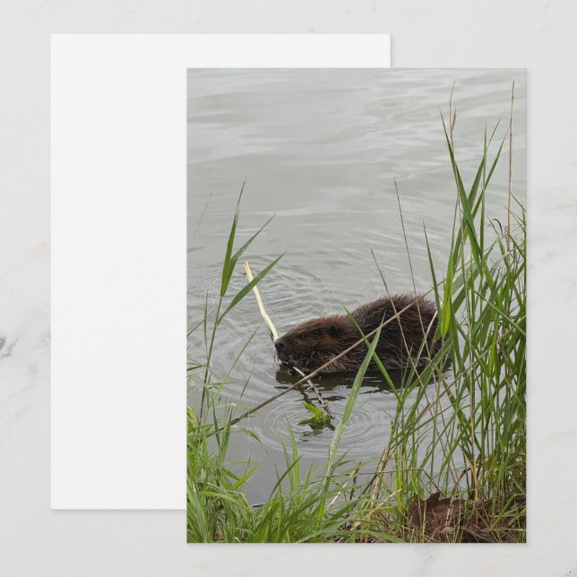 Busy Beaver Julkort (Fram/baksida)