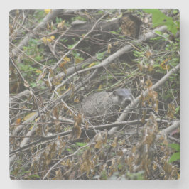 Busy Beaver Stenunderlägg