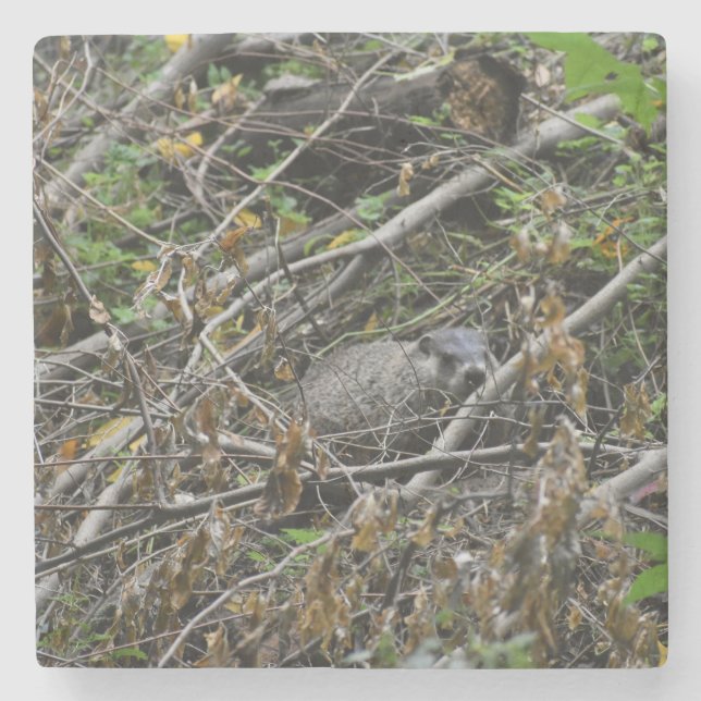 Busy Beaver Stenunderlägg (Framsidan)