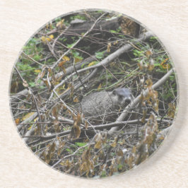 Busy Beaver Underlägg