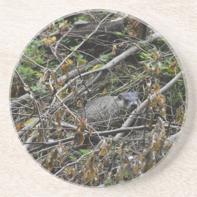 Busy Beaver Underlägg (Framsidan)