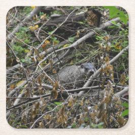 Busy Beaver Underlägg Papper Kvadrat