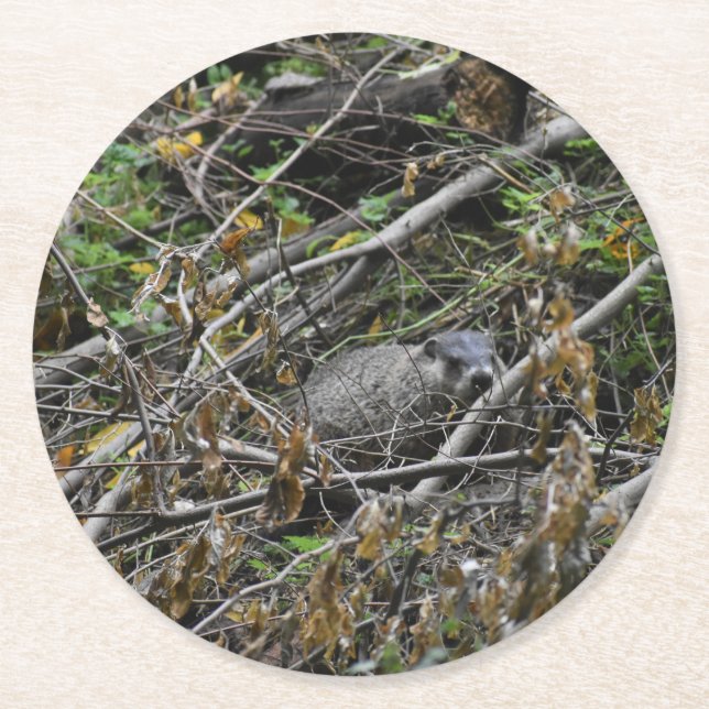 Busy Beaver Underlägg Papper Rund (Framsidan)
