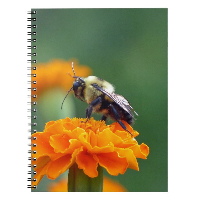 Busy Bee Anteckningsbok (Framsidan)