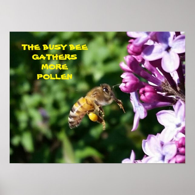 Busy Bee - Arbetstagarens motivation Poster (Framsidan)