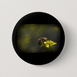 Busy Bee Knapp