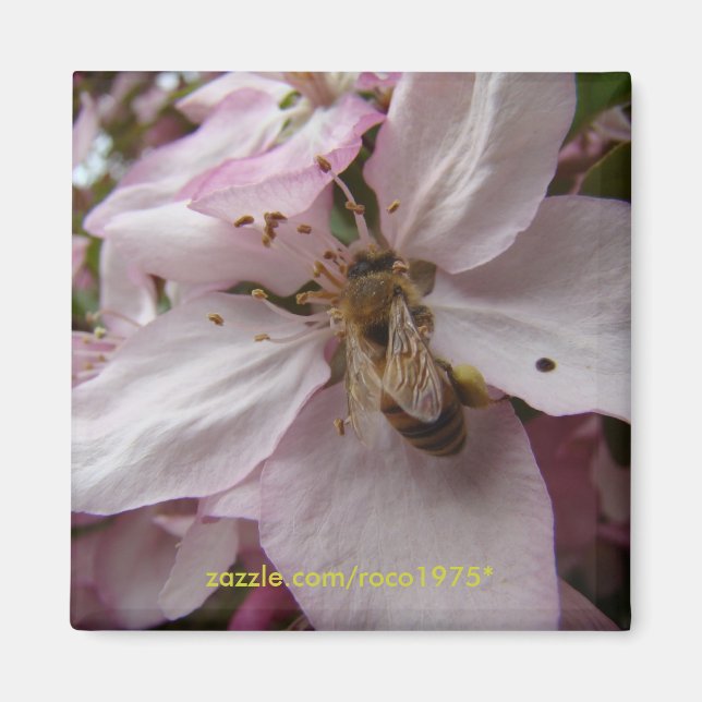 Busy Bee Magnet (Framsidan)