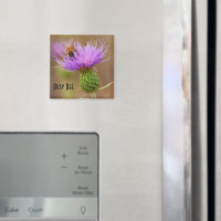 Busy Bee On Lila Thistle Close-Up Photo Template