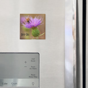 Busy Bee On Lila Thistle Close-Up Photo Template Magnet