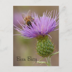 Busy Bee On Lila Thistle Photograf Anpassningsbar Vykort