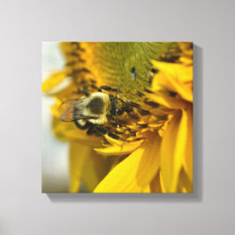 Busy Bee på en solros Canvastryck