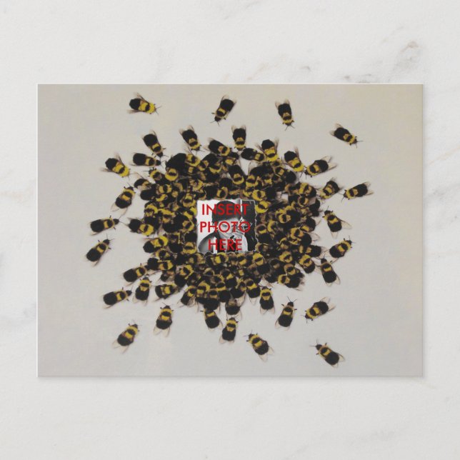 Busy Bee PHOTO INSERT ~ vycard Vykort (Framsida)