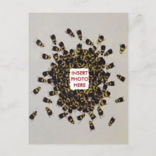 Busy Bee PHOTO INSERT vykort