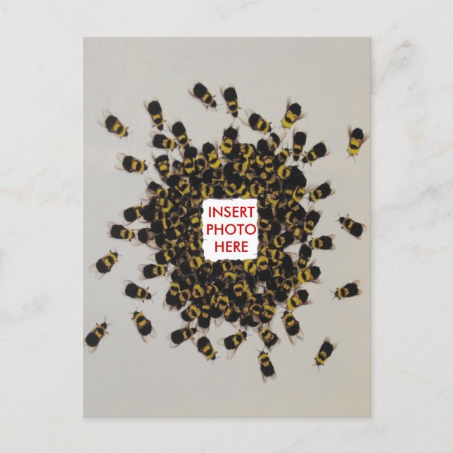 Busy Bee PHOTO INSERT vykort (Framsida)