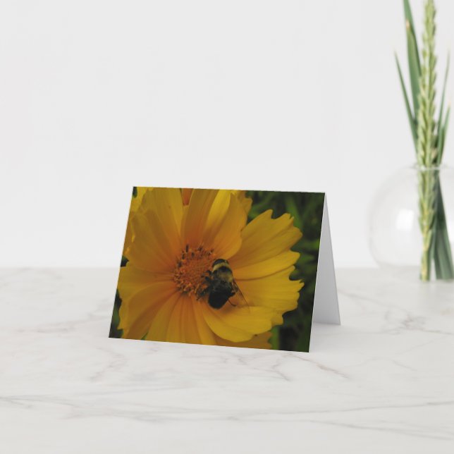 Busy Bee Tack Kort (Framsida)