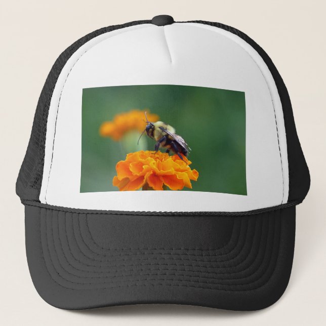Busy Bee Truckerkeps (Framsida)