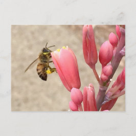Busy Bee Vykort
