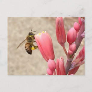 Busy Bee Vykort