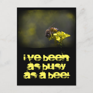 Busy Bee Vykort