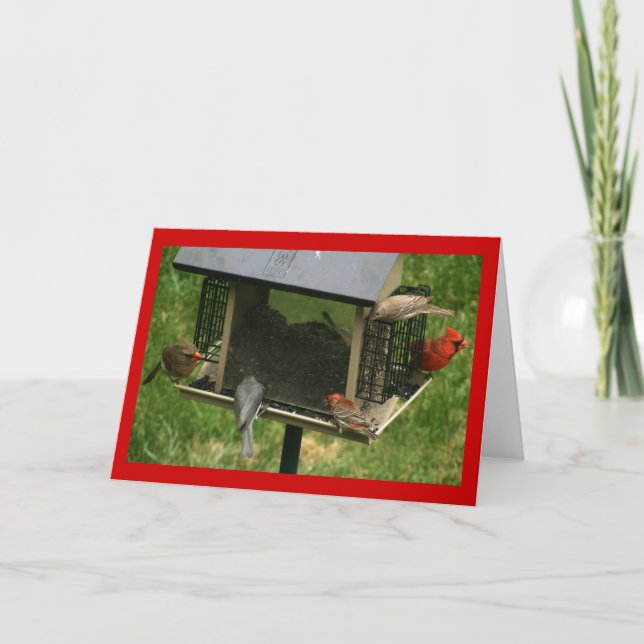 Busy Bird Feeder Kort (Framsida)