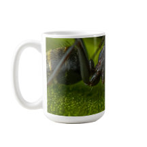 Busy Black Ant på en grön löv