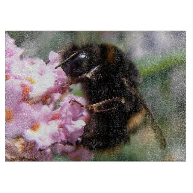 Busy Bumblebee and Rosa Flowers Clearboard (Framsidan)