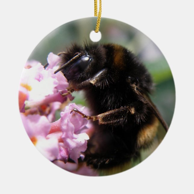 Busy Bumblebee and Rosa Flowers Ornament (Framsidan)