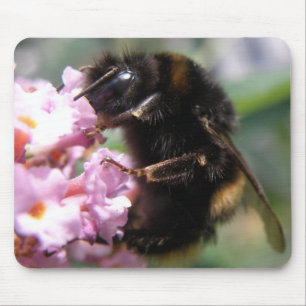 Busy Bumblebee och Rosa Flowers Mousepad Musmatta