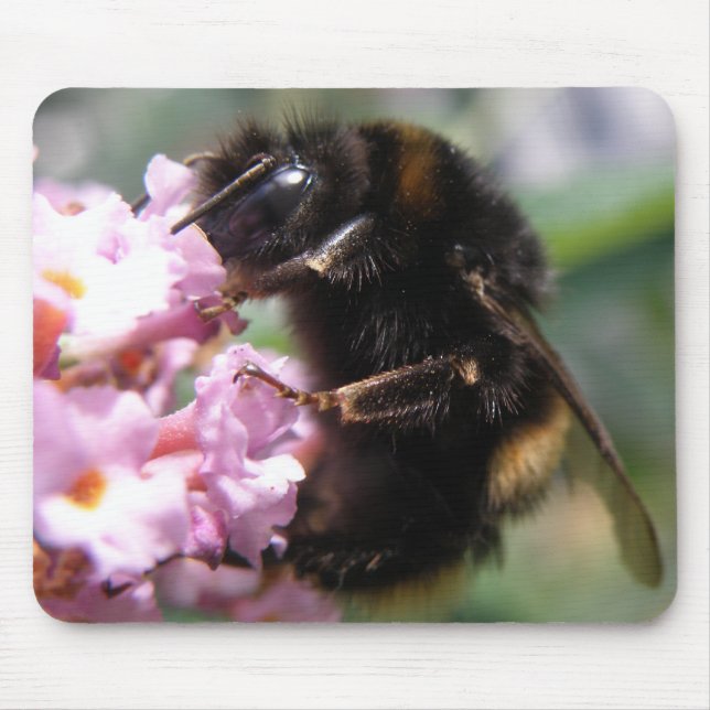 Busy Bumblebee och Rosa Flowers Mousepad Musmatta (Framsidan)