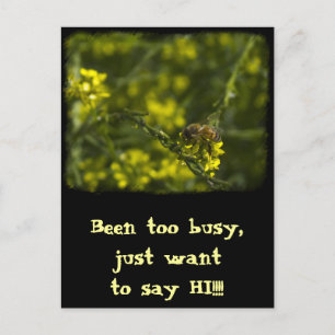 Busy Busy Bee Vykort