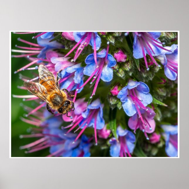 Busy Busy Poster (Framsidan)