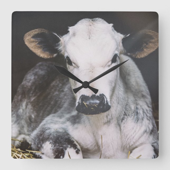 Busy Day Skörd Fyrkantig Klocka (Framsida)