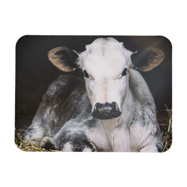 Busy Day Skörd Magnet (Horisontell)