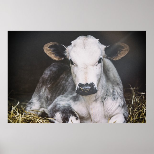 Busy Day Skörd Poster (Framsidan)