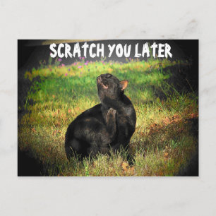 Busy Höger Meow? Skratta senare Vykort