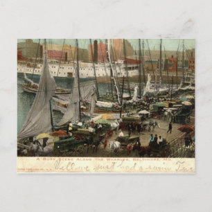 Busy Scene vid Wharves, Baltimore, MD 1905 Vykort