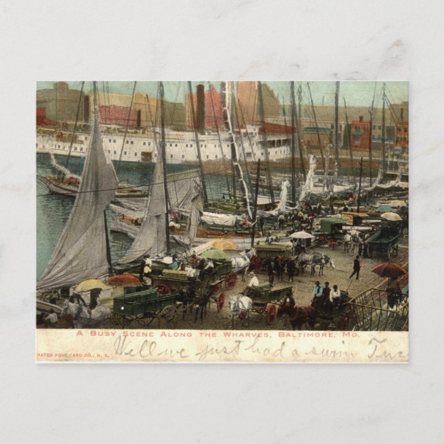 Busy Scene vid Wharves, Baltimore, MD 1905 Vykort (Framsida)