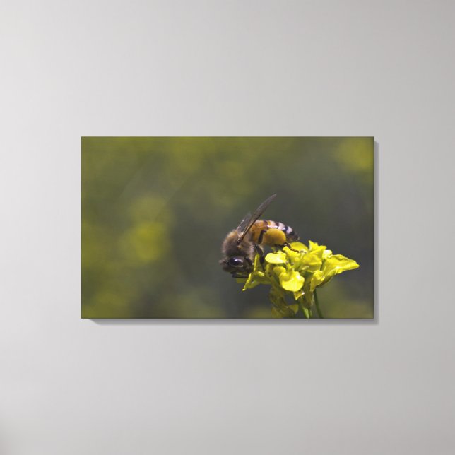 Busy som Bee Canvastryck (Framsida)