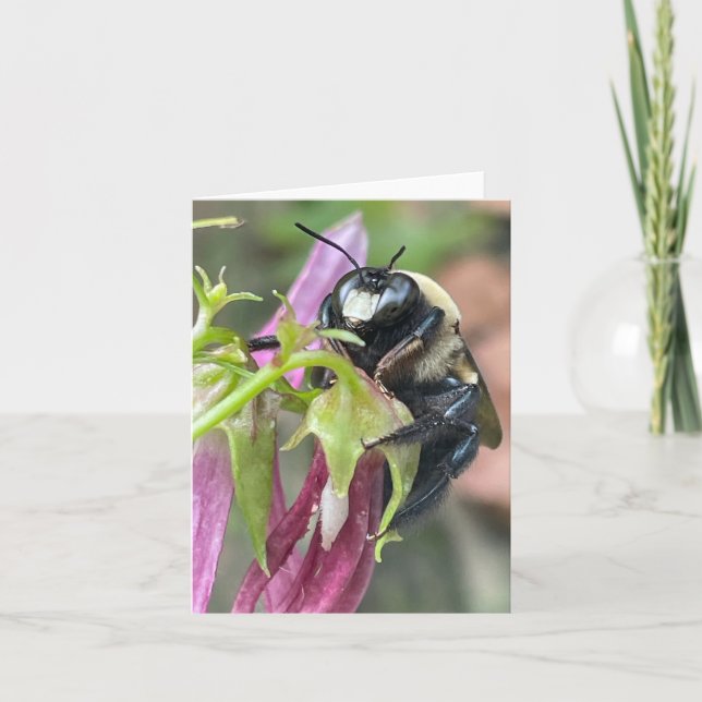 Busy som Bee Meddelande (Framsida)