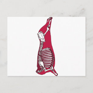 BUTCHER ANATOMY VYKORT
