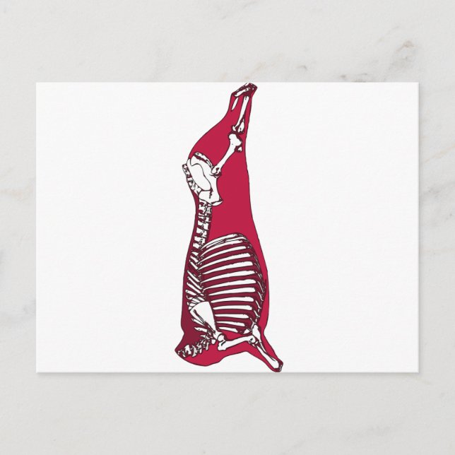 BUTCHER ANATOMY VYKORT (Framsida)