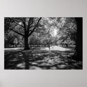 Bute Park på sommaren. Cardiff, Wales Poster