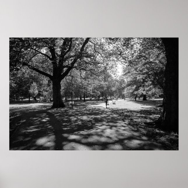 Bute Park på sommaren. Cardiff, Wales Poster (Framsidan)