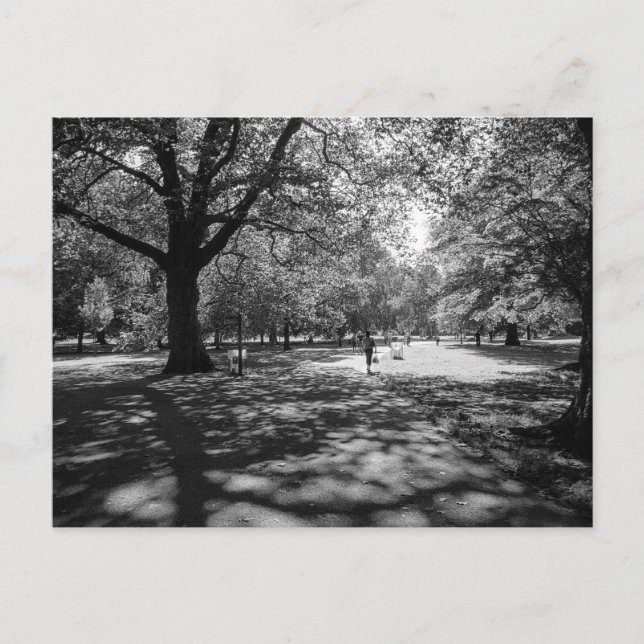 Bute Park på sommaren. Cardiff Wales. Vykort (Framsida)