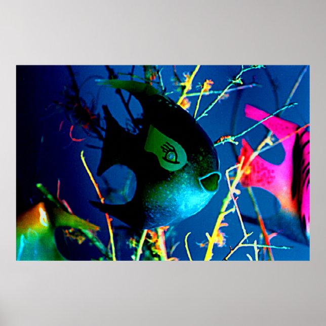 BUTELJERA FISK kolossal 72" x 52" jGibneyGiclée Poster (Framsidan)