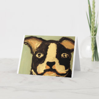 butik för sfäriska hinsburg-hund kort