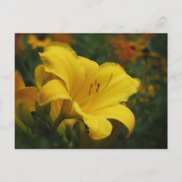 Butted Popcorn Garden - Daylily Vykort